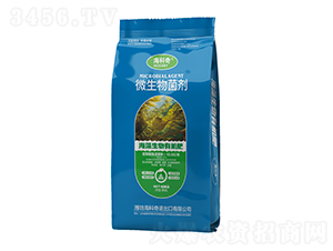 ���������ЙC(j��)��-������