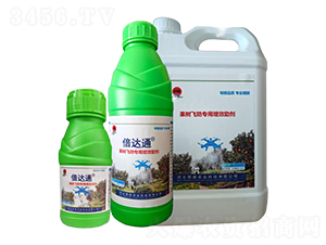 ����(sh��)��(zhu��n)�Ç��F����-����r(n��ng)�I(y��)